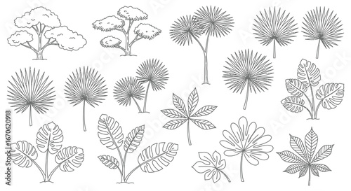A collection of various trees and leaves in a simple line drawing style