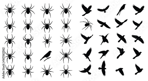 Black silhouettes of spiders and birds on a white background