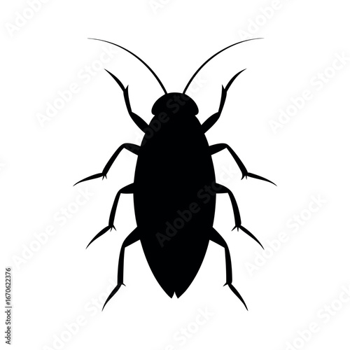 Cockroach Black Silhouette On White Background