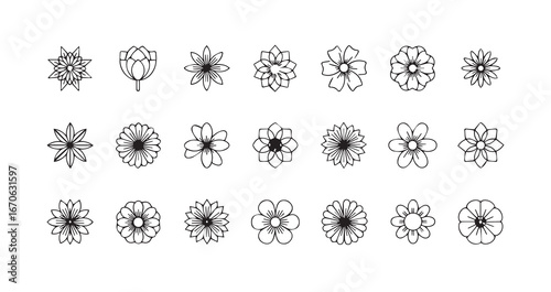 Flower head line art icon bundle illustration
