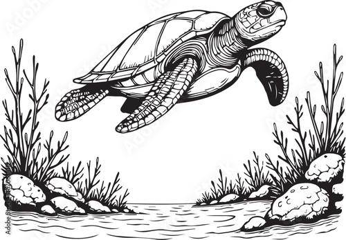Ocean Turtle: A serene illustration of a sea turtle gracefully gliding through clear, turquoise water, accompanied by the subtle presence of oceanic flora.