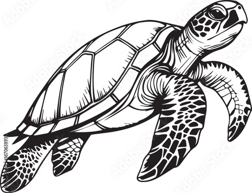 Majestic Turtle's Serene Voyage: A stunning illustration of a sea turtle gracefully navigating the deep, its form elegantly captured with detailed linework, inviting viewers into its tranquil realm.