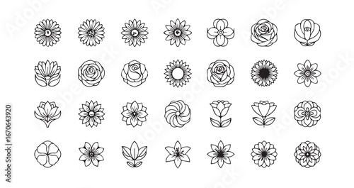 Flower head line art icon bundle illustration