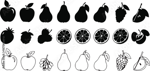 Collection of hand drawn fruit illustrations in black and white