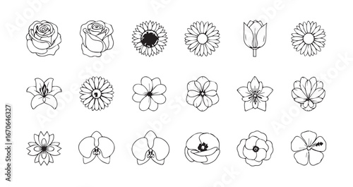 Flower head line art icon bundle illustration