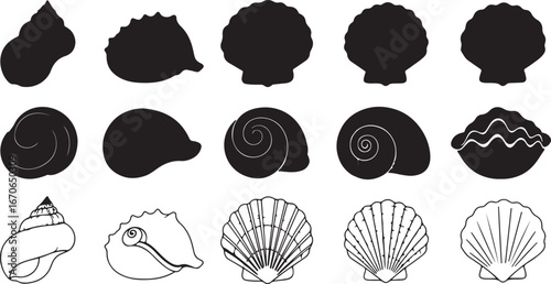 Collection of diverse seashell silhouettes and line drawings on white background