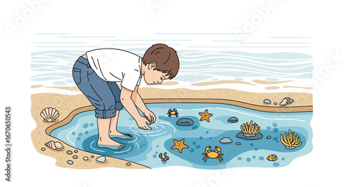 Young Explorer Discovers Marine Life On Beach During Summer Vacation
