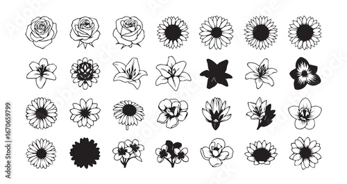 Flower head silhouette icon bundle illustration