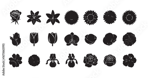 Flower head silhouette icon bundle illustration