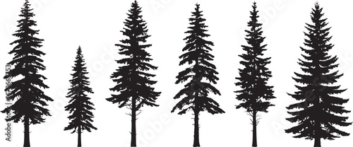 Vintage Pine Tree and Forest Silhouette Vector Set, Monochrome Evergreen Illustration Collection