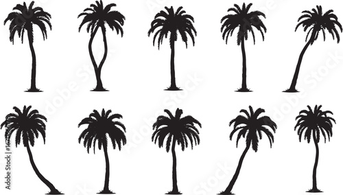 Tropical Palm Tree Silhouette Vector Set, Beach and Island Summer Vacation Illustration