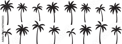Tropical Palm Tree Silhouette Vector Set, Beach and Island Vacation Illustration Collection