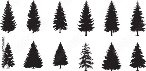 Pine tree silhouette clipart collection on white background