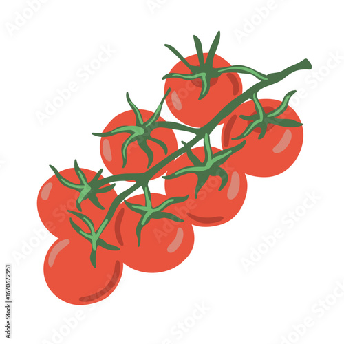 Vector illustration of fresh red cherry tomatoes on a green vine. Juicy garden vegetables, natural organic food design, healthy ingredient for cooking, salad, pizza, Italian cuisine.