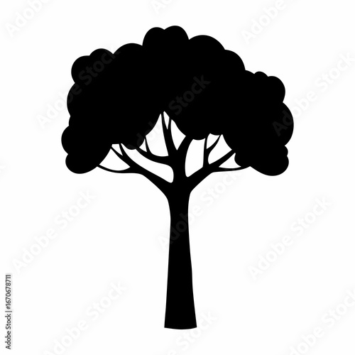 Silhouette of a solitary tree with broad canopy and strong trunk, isolated