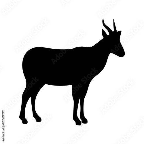 Silhouette of Standing Klipspringer Antelope with White Background Illustration