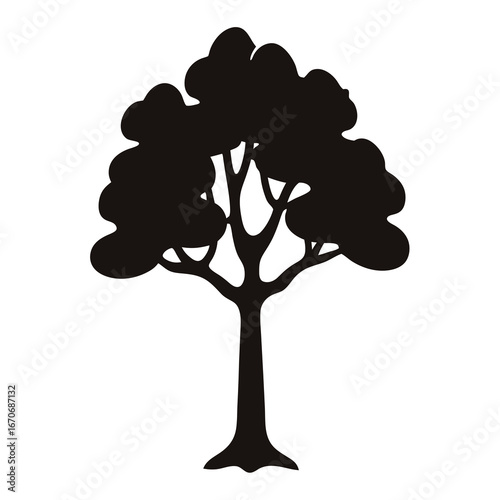 Silhouette of a mature tree with a full canopy on a white background