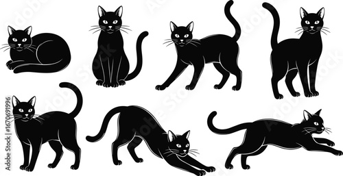 Black cats vector, feline poses illustration, sleek silhouette animals, walking stretching crouching cats, minimalist pet artwork, white background, expressive cat movement
