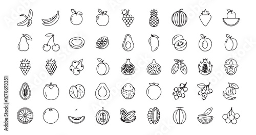 Fruits line art icon bundle illustration