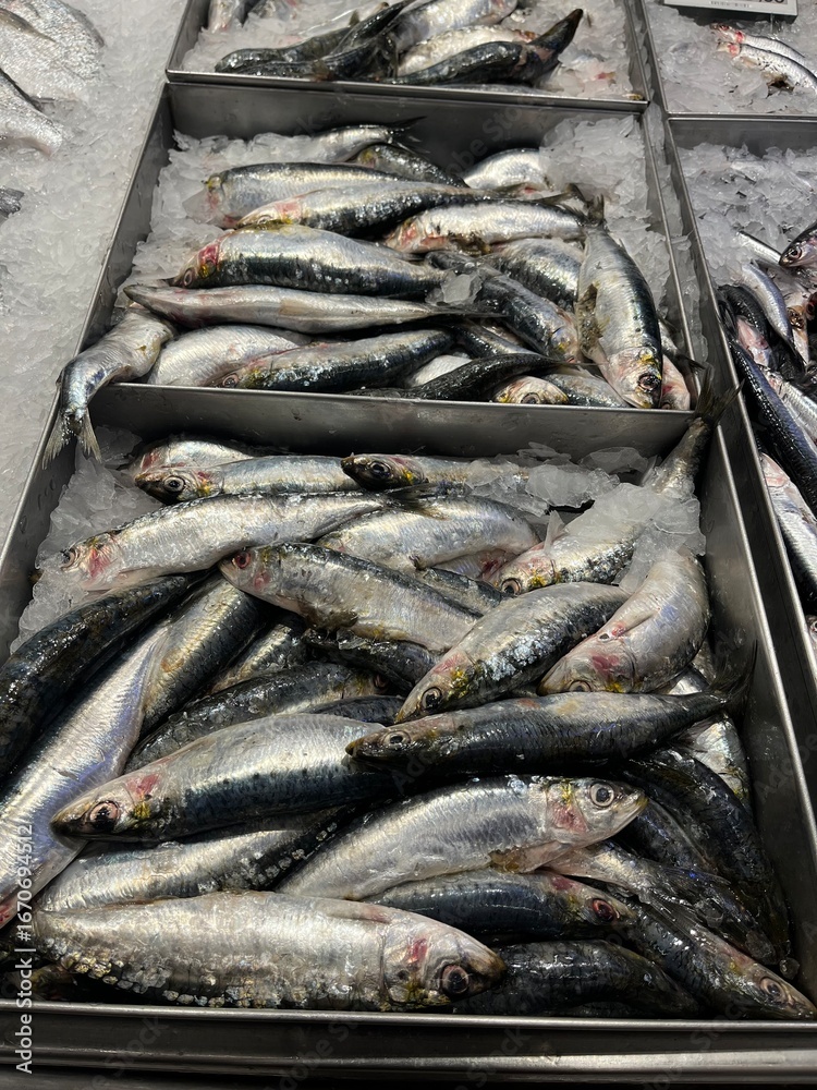 Fototapeta premium Fresh anchovies on the counter in a Spanish shop