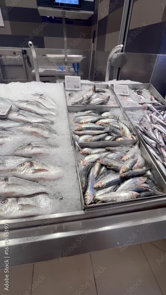 Fresh Anchovies On The Counter In A Spanish Shop Stock Video Adobe Stock