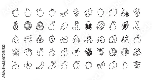 Fruits line art icon bundle illustration