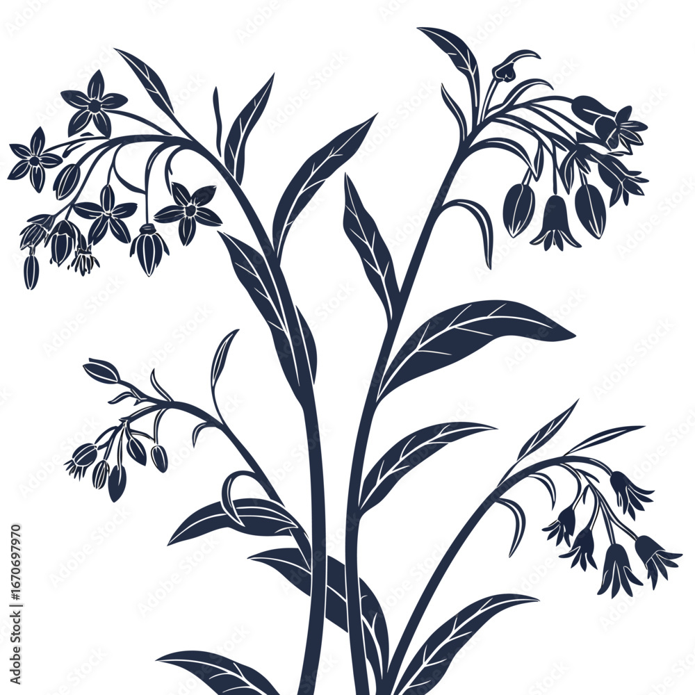 Fototapeta premium seamless floral pattern with comfrey borage edible flower