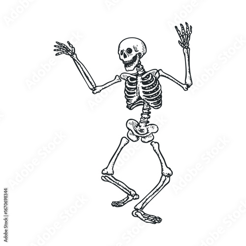 Dancing skeleton illustration for Halloween decorations and events. Halloween vector illustration
