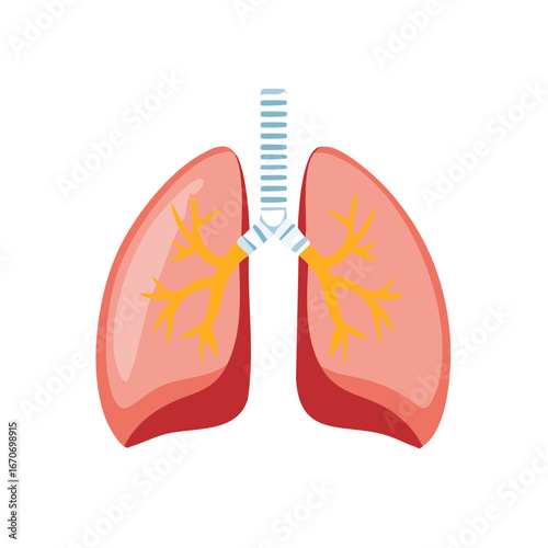 Stylized Lungs and Trachea Illustration Bronchial Tree Medical Concept Pulmonary System