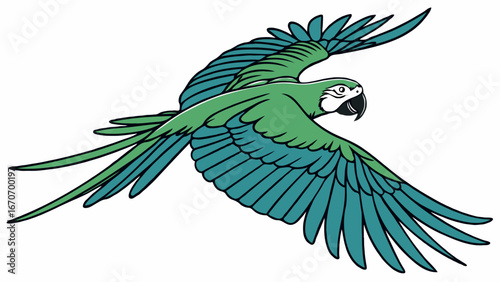 blue and yellow macaw