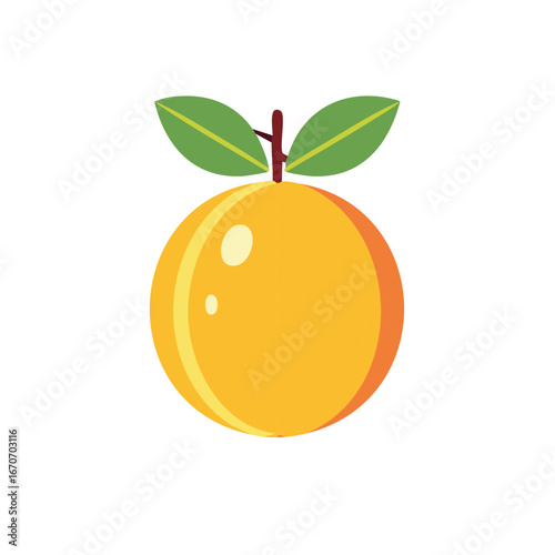 Colorful Stylized Orange Fruit with Leaves Illustration, Isolated