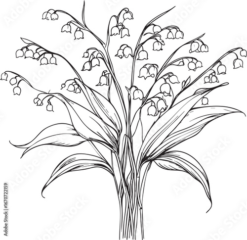 Continuous Line Lily of the Valley Modern Botanical Art - Minimalist Single Stroke Floral Illustration