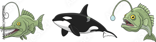 Cartoon Deep Sea Creatures and Killer Whale – Anglerfish, Fangtooth, and Orca Vector Illustrations for Kids and Ocean Art