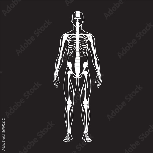 Minimalist Human Body Outline with Anatomical Landmarks on Dark Blue Background for Medical and Educational Materials