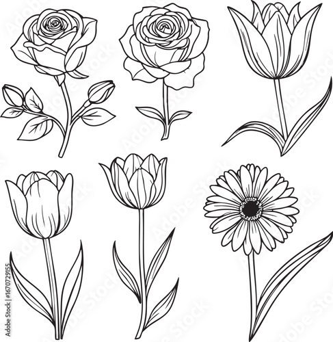 Classic flowers outline set. Rose tulip daisy and lily vector in elegant black line style.