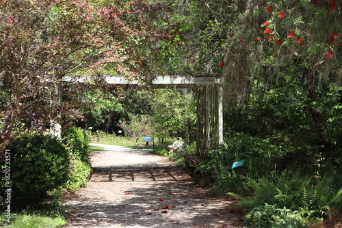 path in the garden