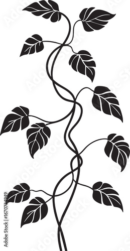 Vine plant outline. Minimalist black and white vector of twisting garden foliage and leaves.