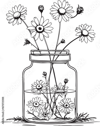 Chamomile apothecary bottle outline. Minimalist black and white vector of herbal remedy container.