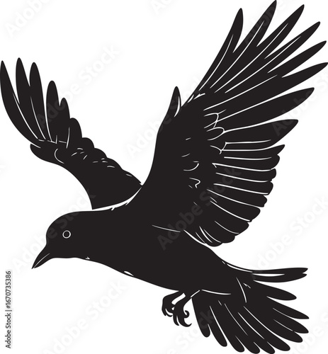 Flying bird silhouette outline. Minimalist vector with dynamic wings and open sky feeling.
