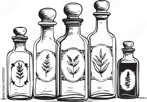 Vintage apothecary bottles outline. Minimalist black and white vector set of herbal remedy containers.