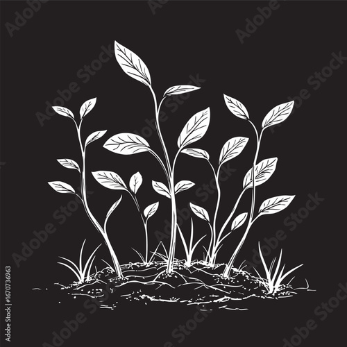 Seedlings sprouting outline. Minimalist black and white vector of garden growth and new plants.