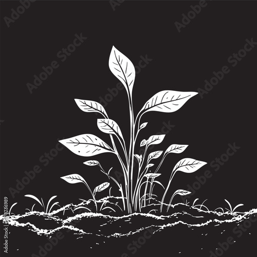 Seedlings sprouting outline. Minimalist black and white vector of garden growth and new plants.
