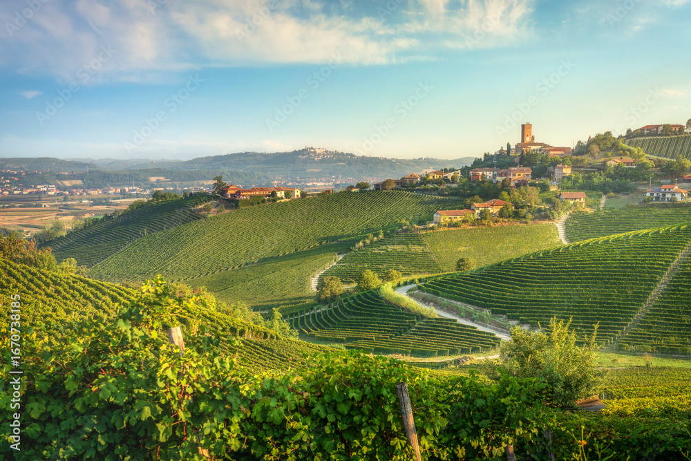 Naklejka premium Barbaresco village and Langhe vineyards, Piedmont, Italy Europe.
