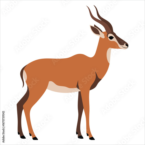 graceful antelope standing isolated on plain white background