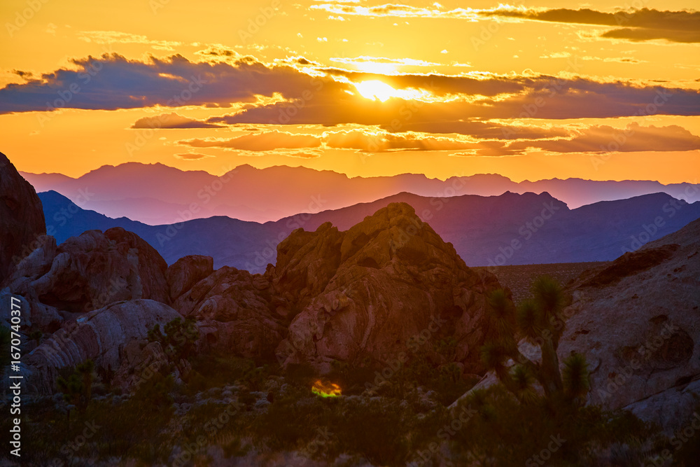 Naklejka premium Sunset Glow Over Rocky Landscape And Joshua Trees In Gold Butte National Monument