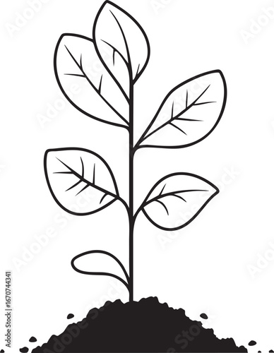 Plant sprout outline. Minimal growth concept in vector lines.