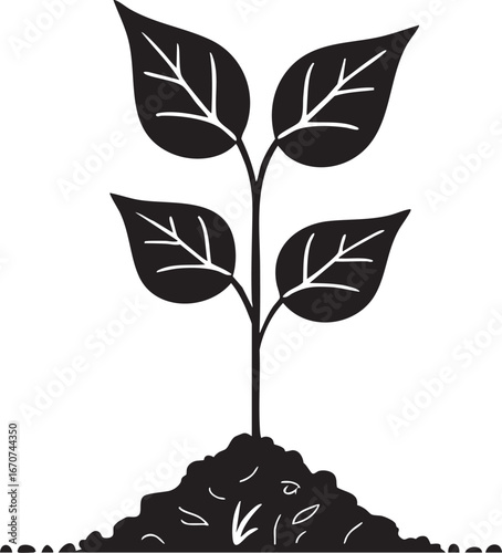 Plant sprout outline. Minimal growth concept in vector lines.