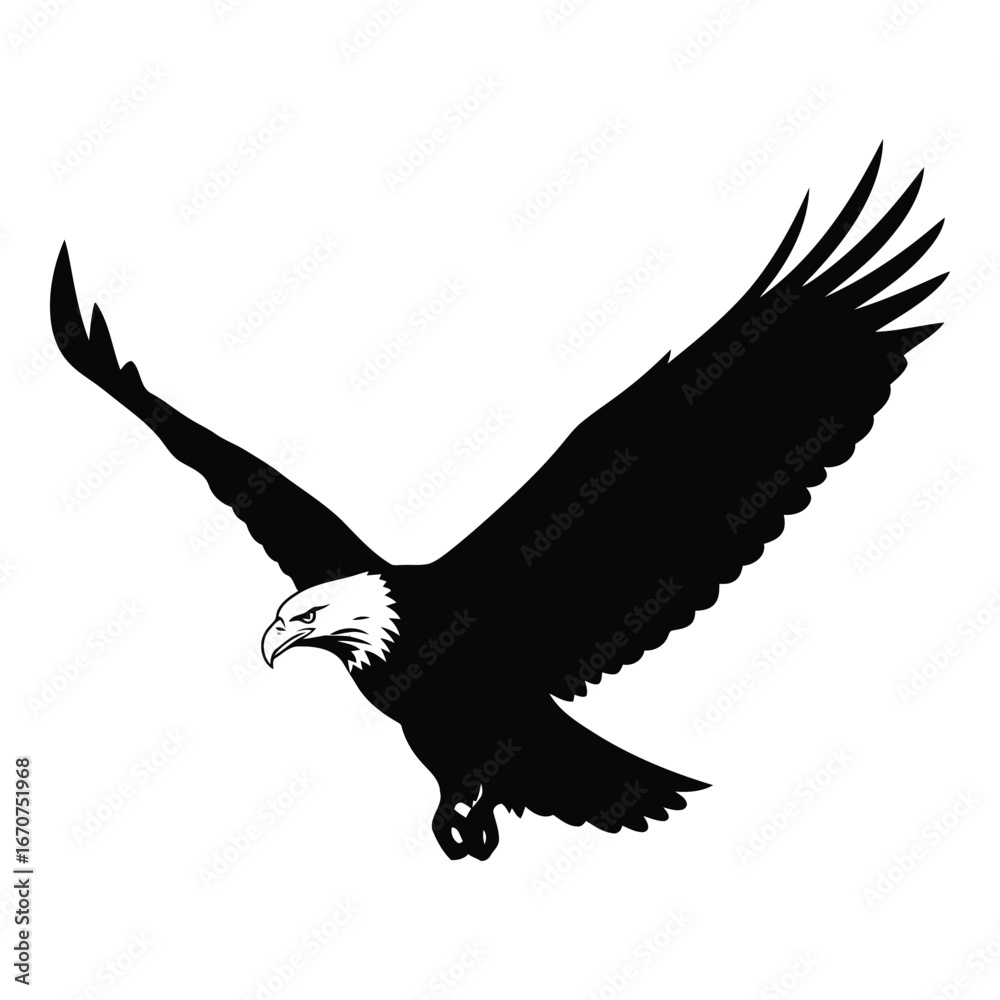 Obraz premium Majestic bald eagle soaring through the sky with wings spread wide in a powerful flight silhouette