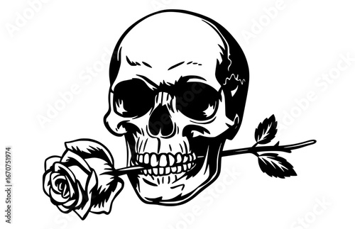 Black and white vector illustration of a human skull with a rose in its teeth, perfect for edgy t-shirt designs, posters, and rock music branding
