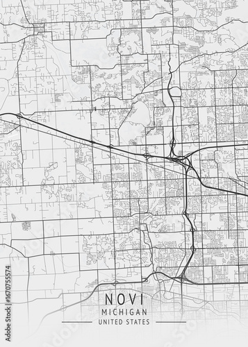 Novi - Michigan - US Gray Map Art